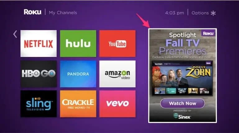 Roku Inc.